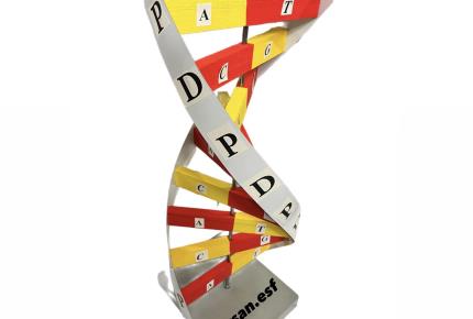 مدل DNA