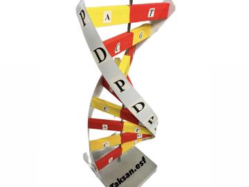 مدل DNA