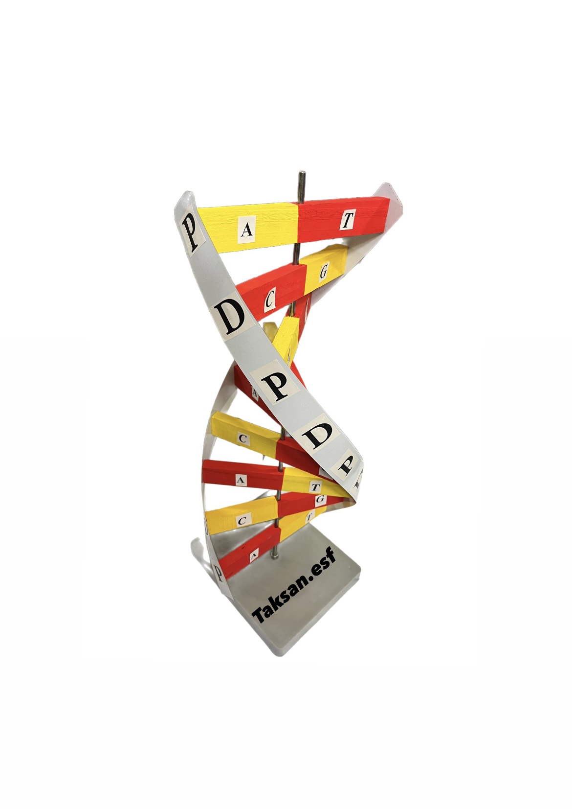 مدل DNA